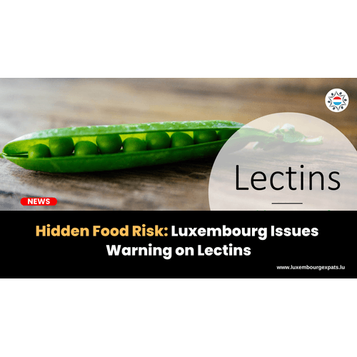Hidden Food Risk: Luxembourg Issues Warning on Lectins