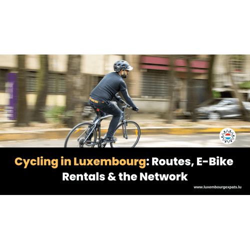 Cycling in Luxembourg: Routes, E-Bike Rentals & the Network, The Country Is Shockingly Bikeable