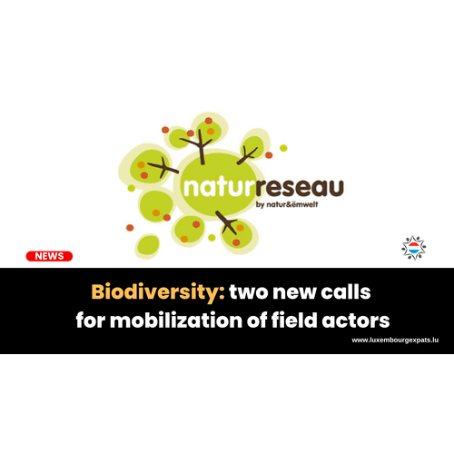 Biodiversity: two new calls for mobilization of field actors