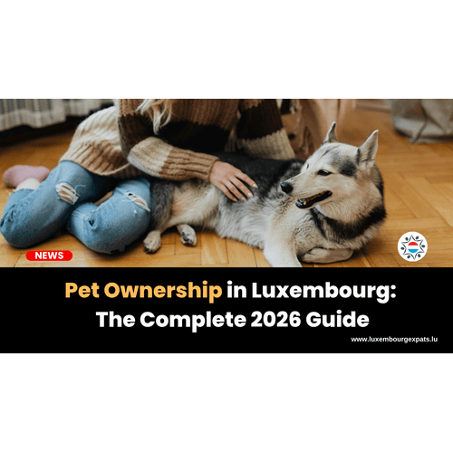 Pet Ownership in Luxembourg: Vets, Microchipping, Travel Rules & Costs, The Complete 2026 Guide
