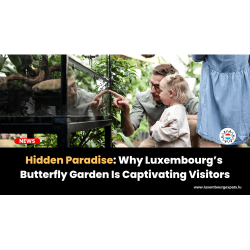 Why Luxembourg’s Butterfly Garden Is Captivating Visitors