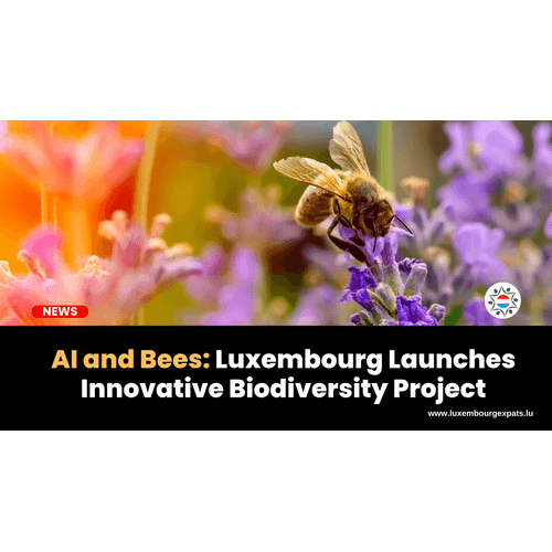 AI and Bees: Luxembourg Launches Innovative Biodiversity Project