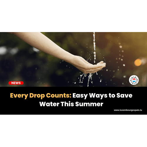 Every Drop Counts: Easy Ways to Save Water This Summer