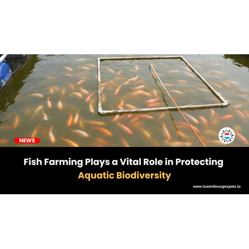 Fish Farming Plays a Vital Role in Protecting Aquatic Biodiversity